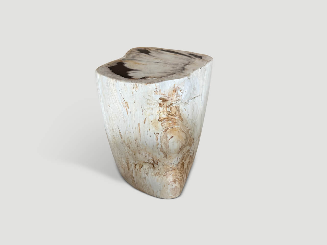 MODERN ORGANIC MINIMALIST PETRIFIED WOOD SIDE TABLE