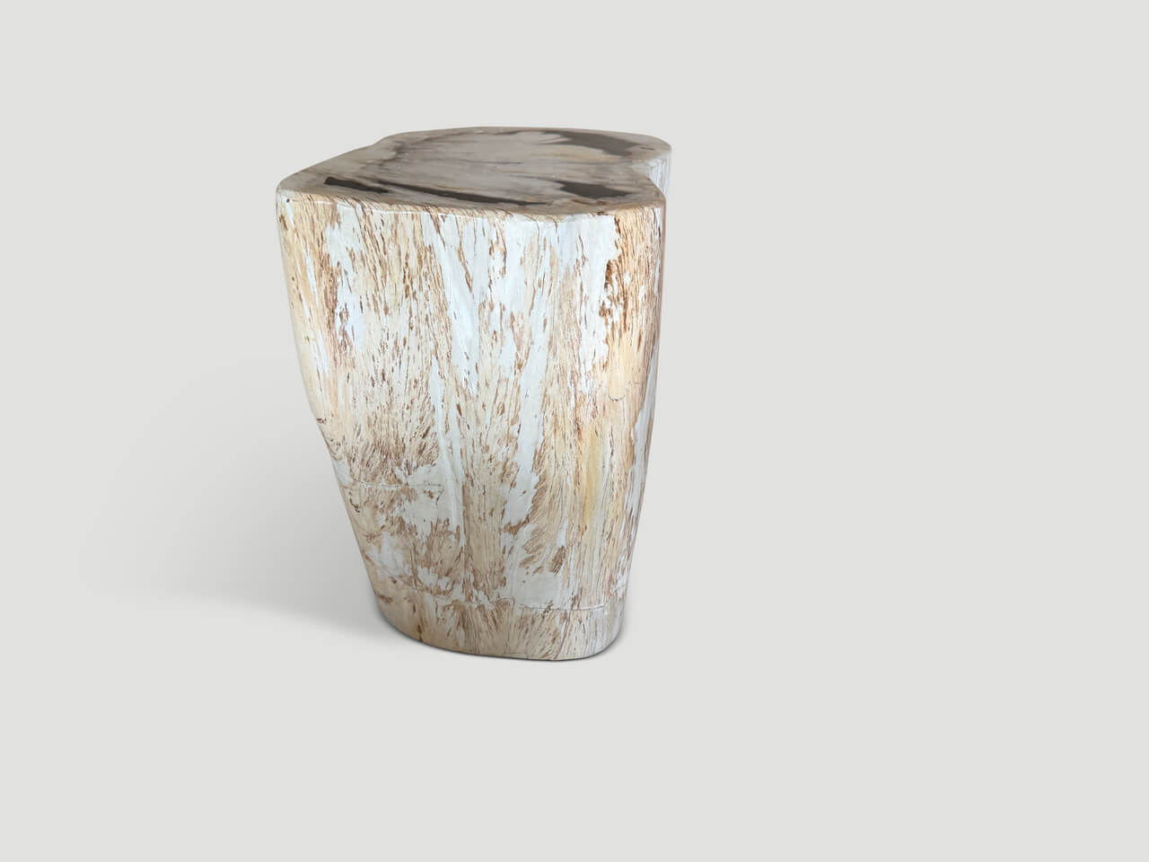 MODERN ORGANIC MINIMALIST PETRIFIED WOOD SIDE TABLE