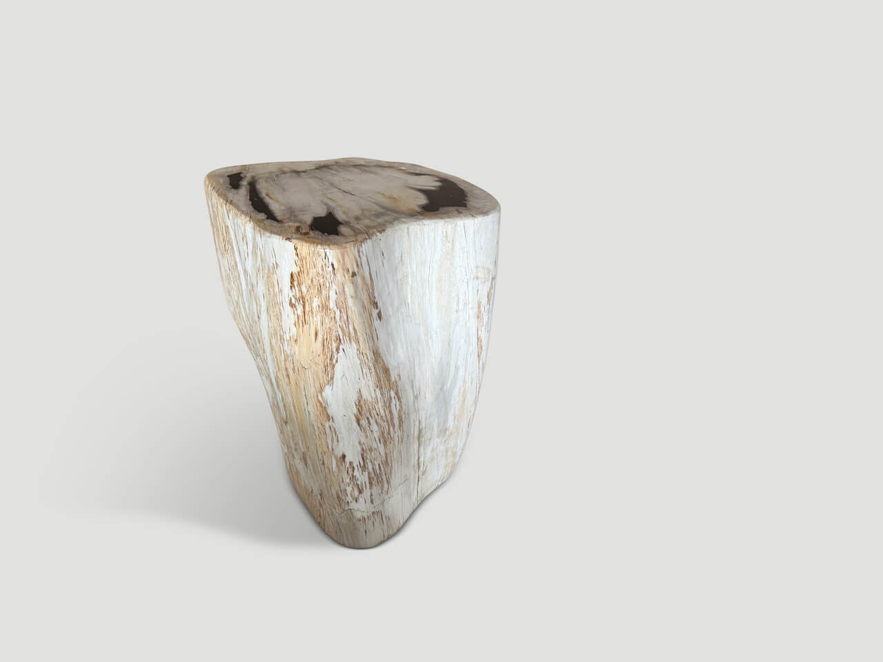 MODERN ORGANIC MINIMALIST PETRIFIED WOOD SIDE TABLE