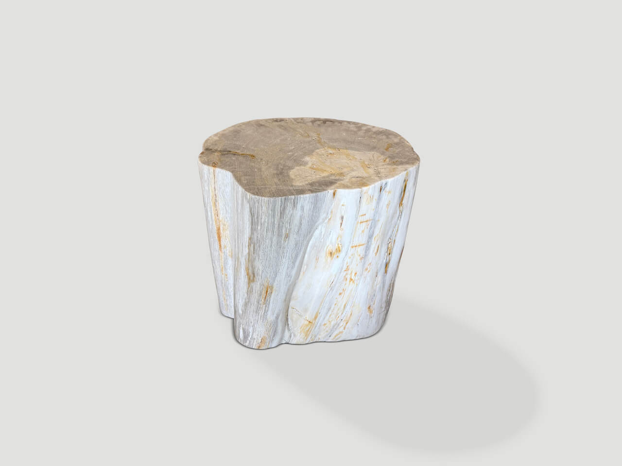 MODERN ORGANIC MINIMALIST PETRIFIED WOOD SIDE TABLE