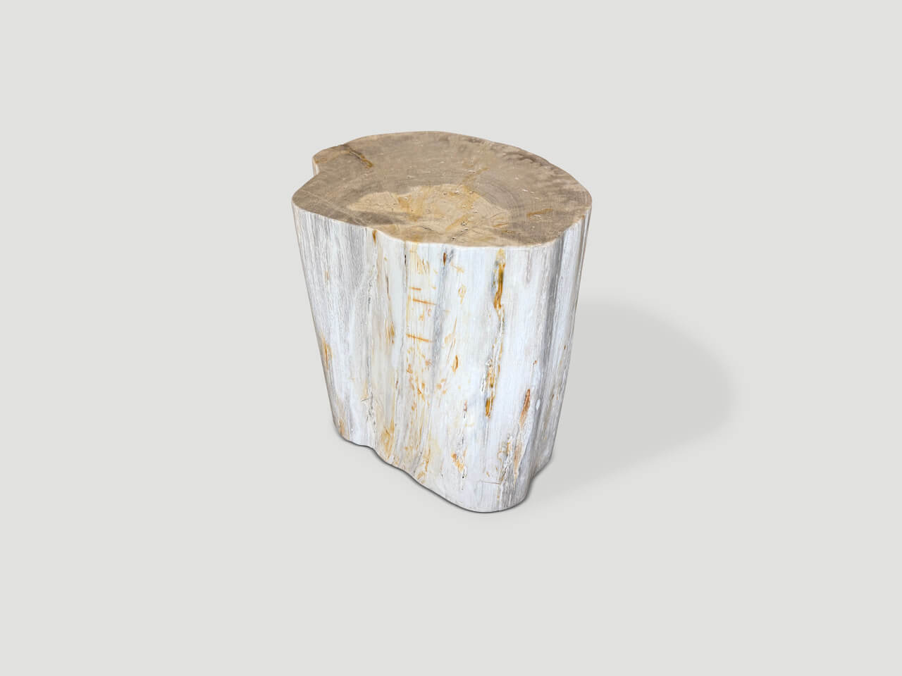 MODERN ORGANIC MINIMALIST PETRIFIED WOOD SIDE TABLE