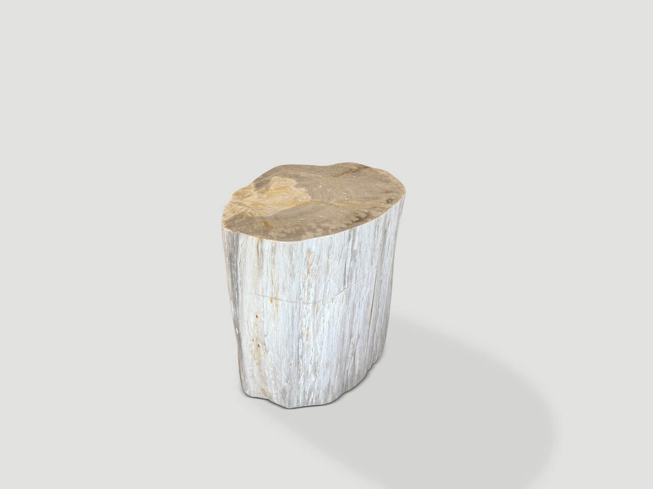 MODERN ORGANIC MINIMALIST PETRIFIED WOOD SIDE TABLE