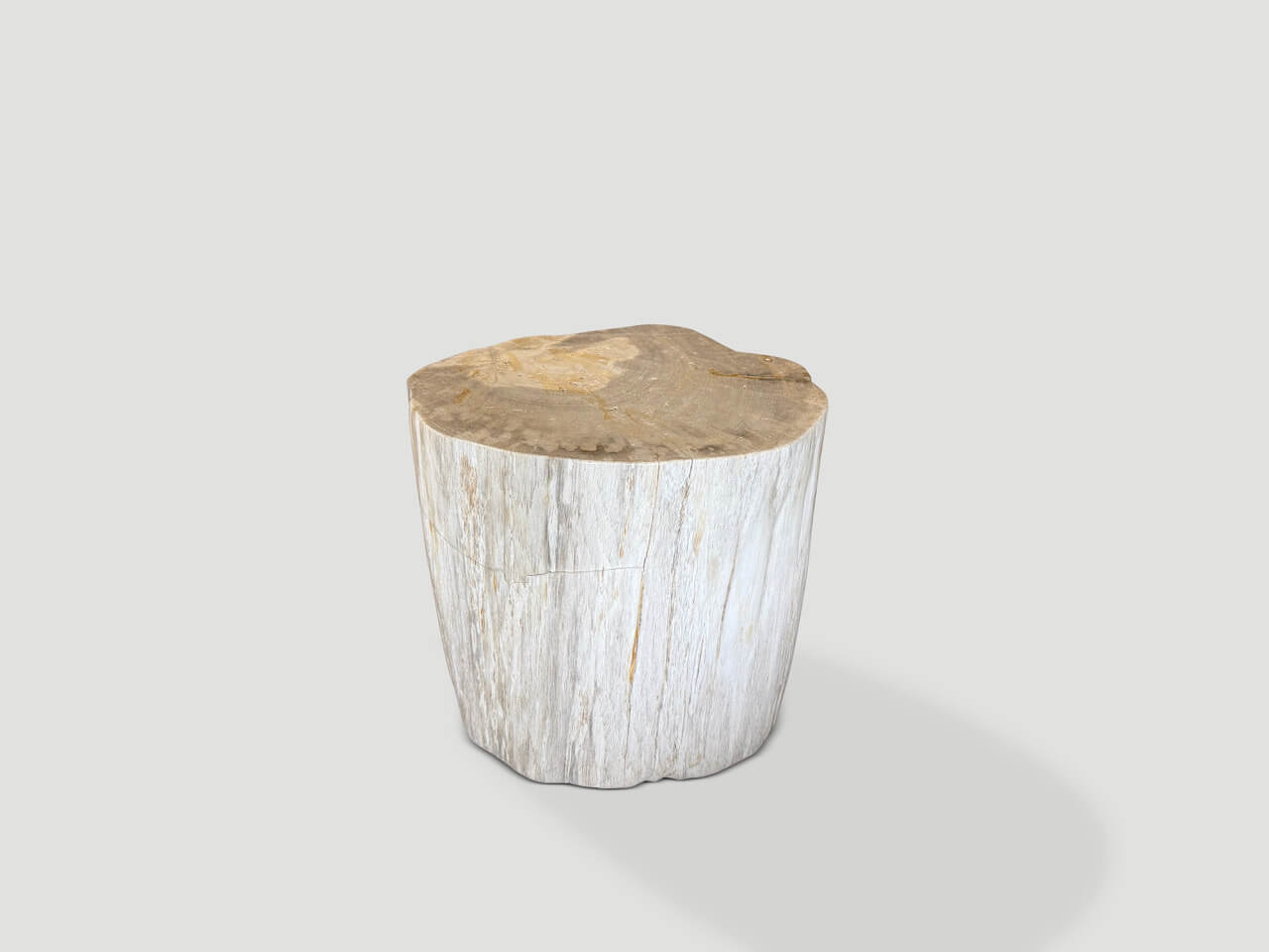 MODERN ORGANIC MINIMALIST PETRIFIED WOOD SIDE TABLE
