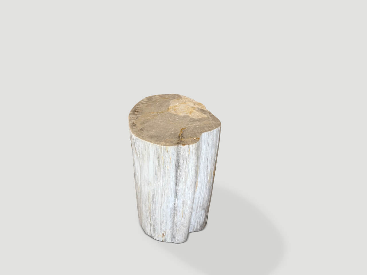 MODERN ORGANIC MINIMALIST PETRIFIED WOOD SIDE TABLE