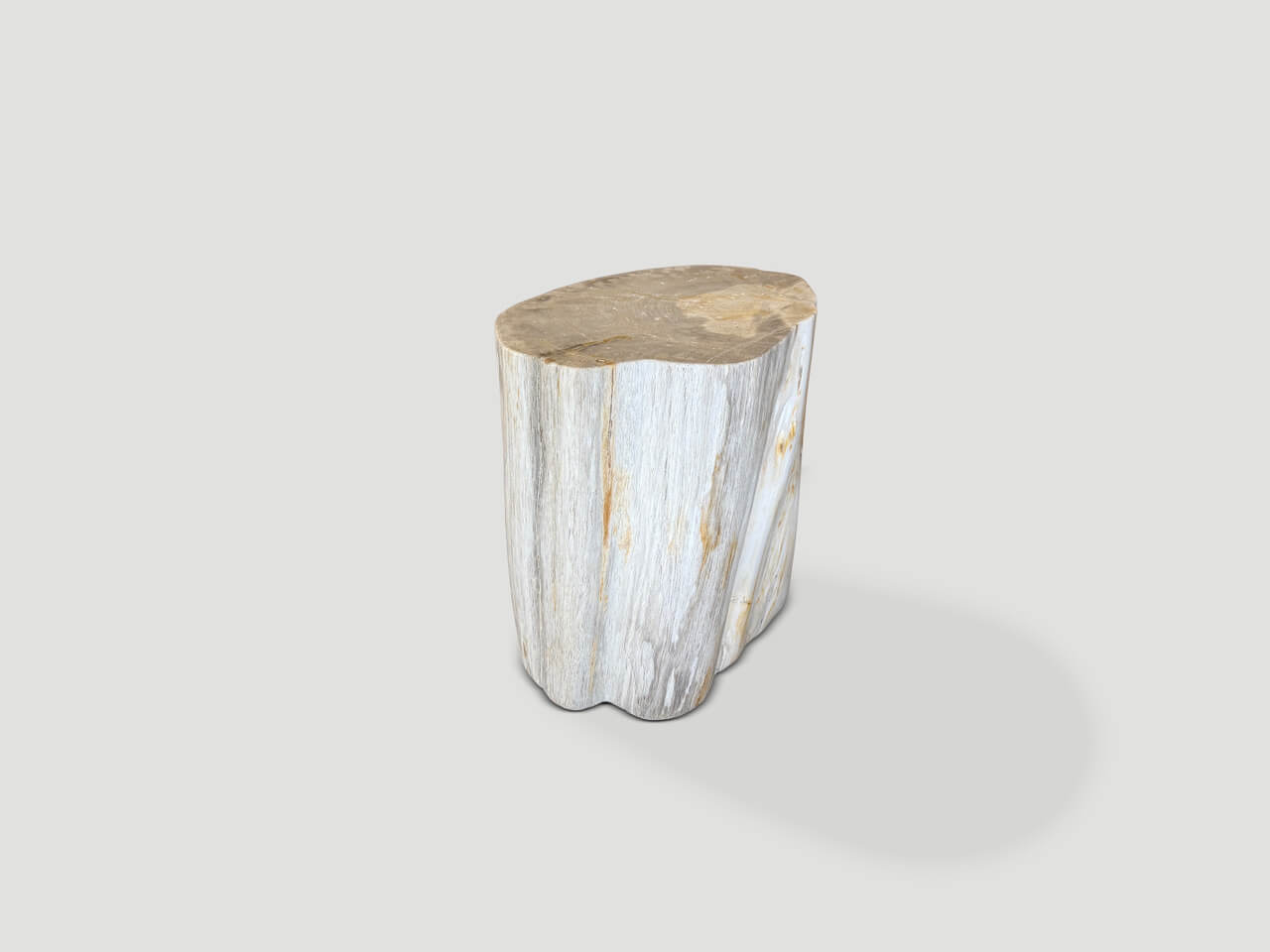 MODERN ORGANIC MINIMALIST PETRIFIED WOOD SIDE TABLE