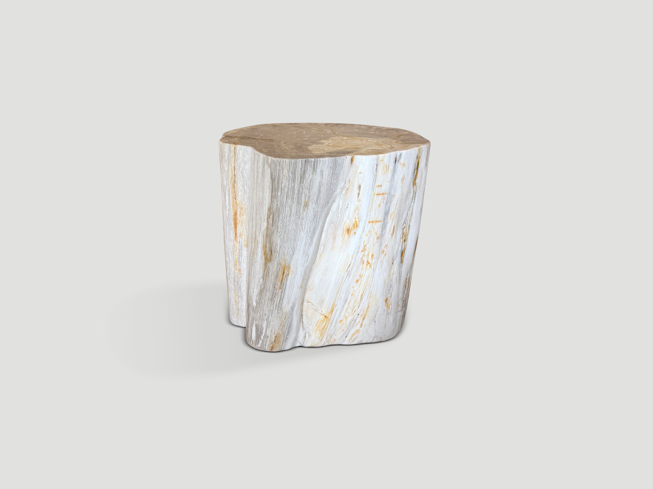 petrified wood side table