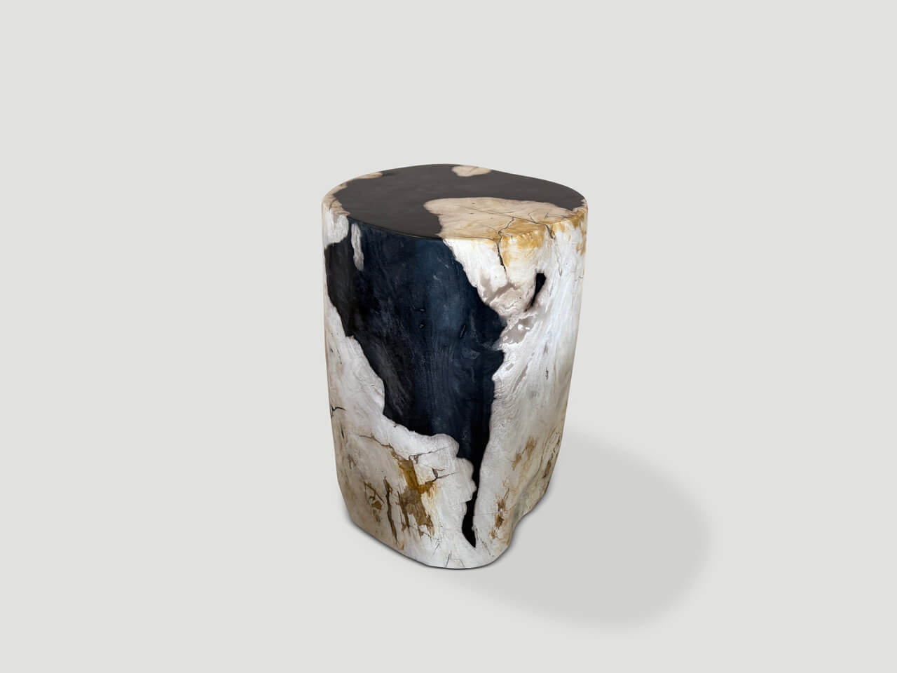 MODERN ORGANIC ANCIENT PETRIFIED WOOD SIDE TABLE