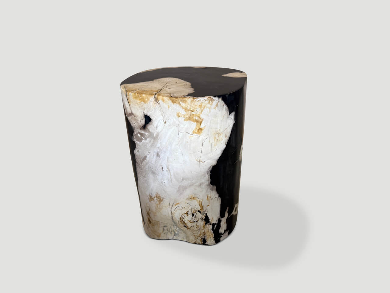 MODERN ORGANIC ANCIENT PETRIFIED WOOD SIDE TABLE