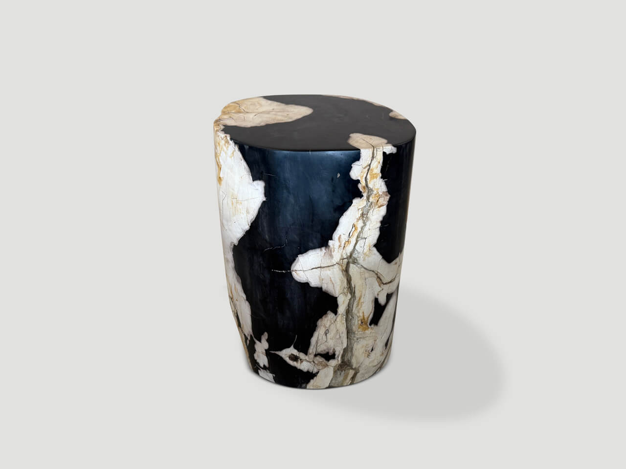 MODERN ORGANIC ANCIENT PETRIFIED WOOD SIDE TABLE