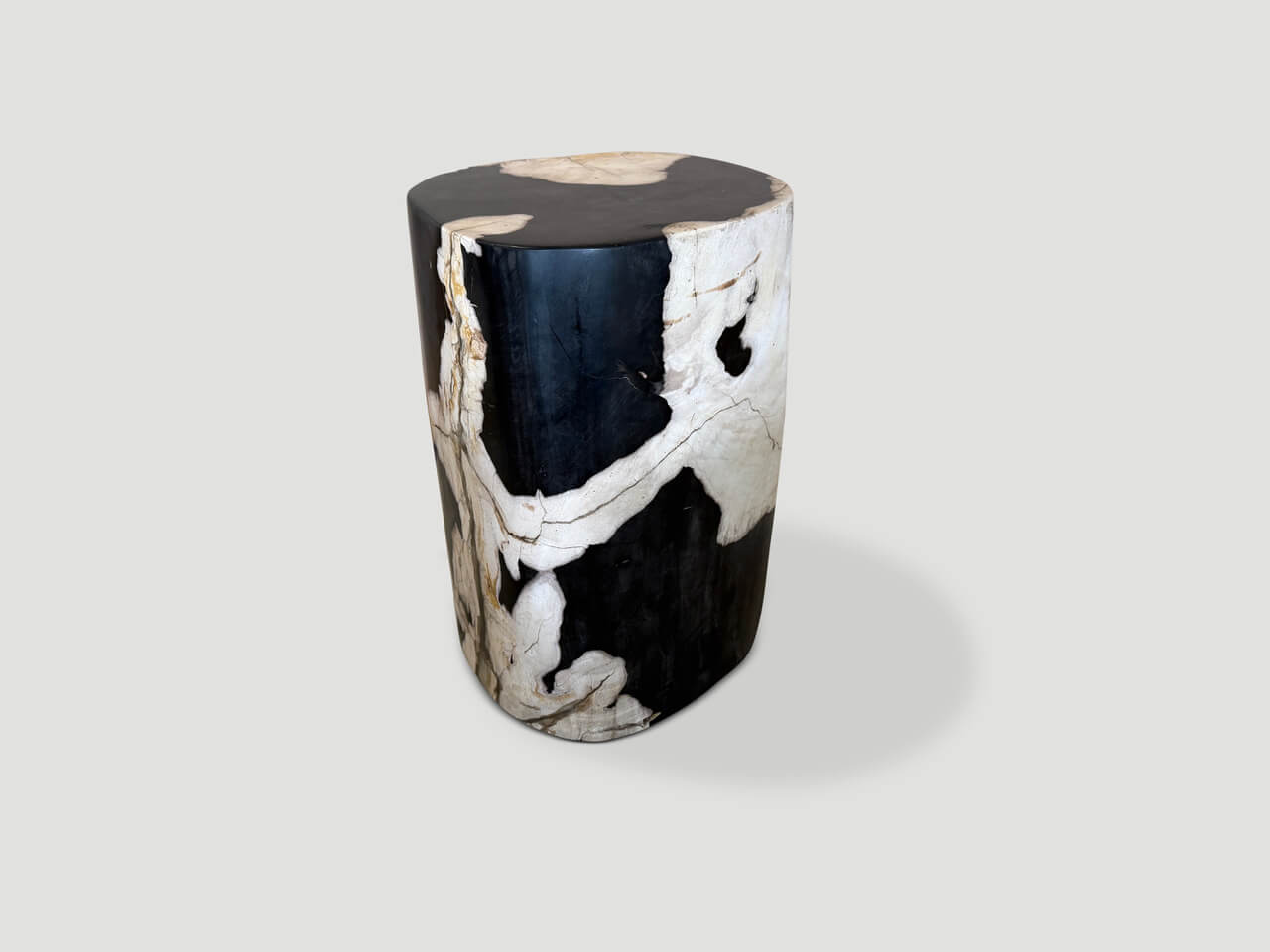 MODERN ORGANIC ANCIENT PETRIFIED WOOD SIDE TABLE