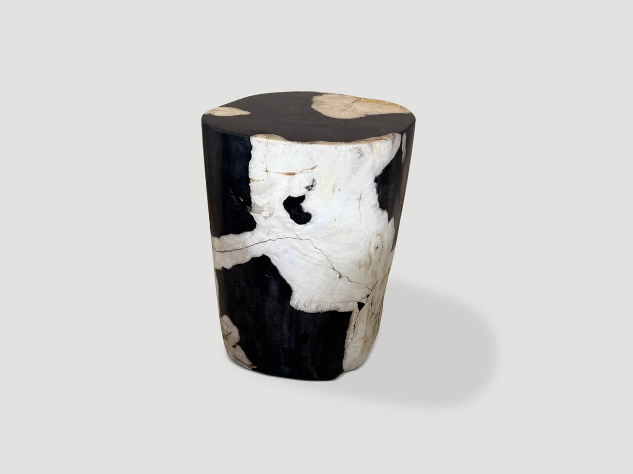 MODERN ORGANIC ANCIENT PETRIFIED WOOD SIDE TABLE