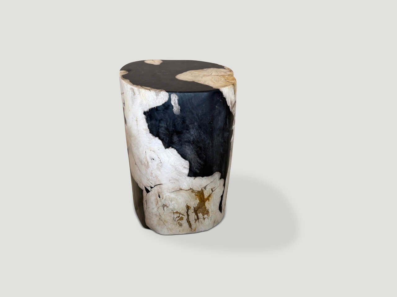 MODERN ORGANIC ANCIENT PETRIFIED WOOD SIDE TABLE
