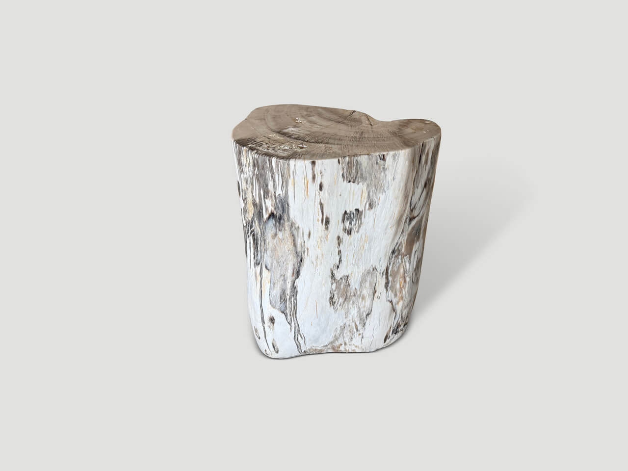 MODERN ORGANIC MINIMALIST PETRIFIED WOOD SIDE TABLE