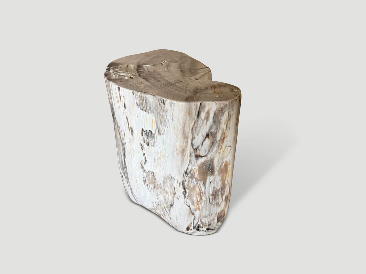 MODERN ORGANIC MINIMALIST PETRIFIED WOOD SIDE TABLE