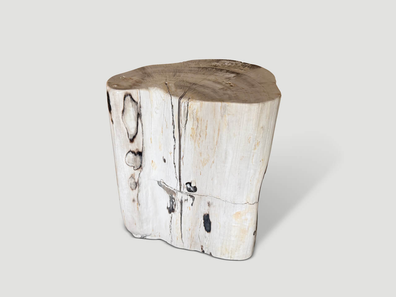 MODERN ORGANIC MINIMALIST PETRIFIED WOOD SIDE TABLE