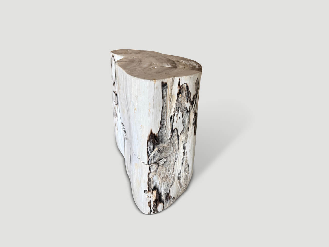 MODERN ORGANIC MINIMALIST PETRIFIED WOOD SIDE TABLE