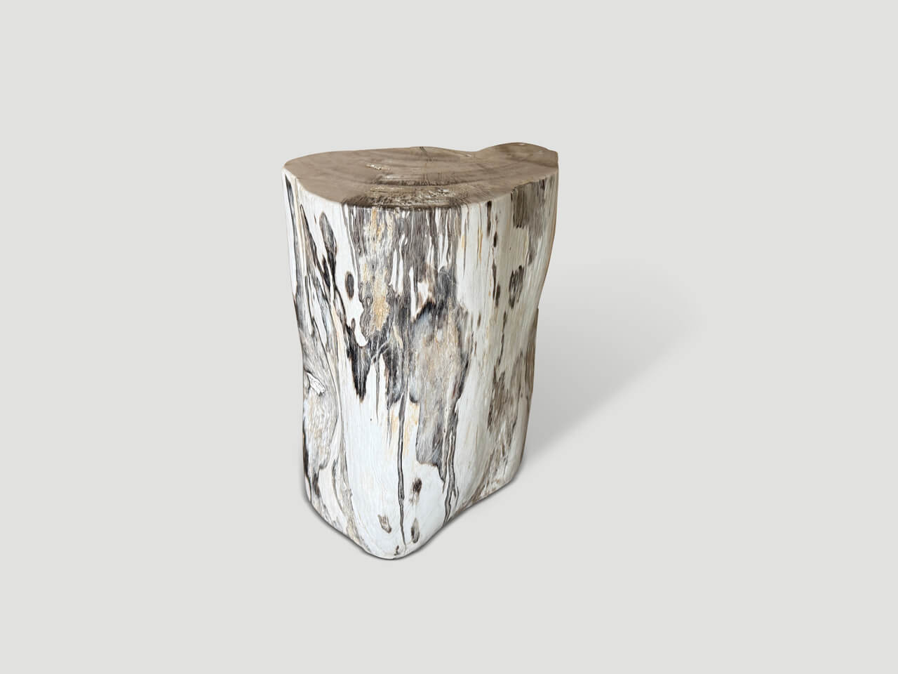 MODERN ORGANIC MINIMALIST PETRIFIED WOOD SIDE TABLE