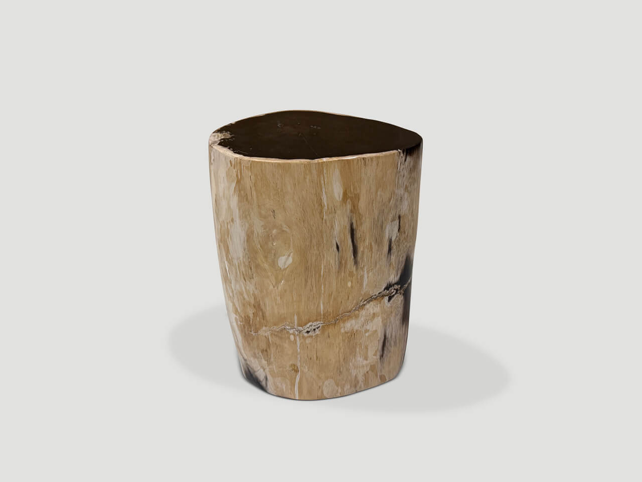 HIGH QUALITY PETRIFIED WOOD SIDE TABLE
