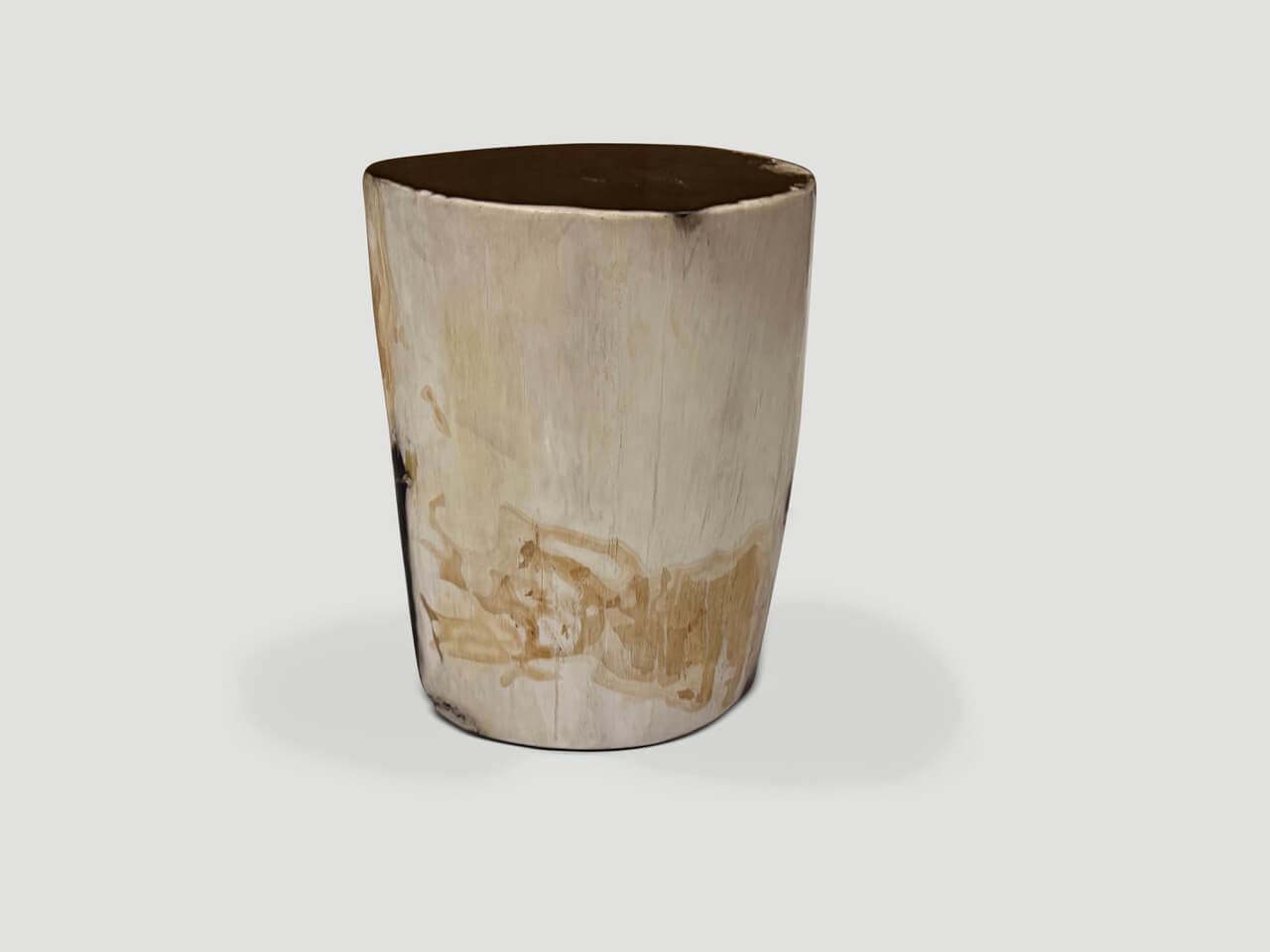 High Quality Petrified Wood Side Table