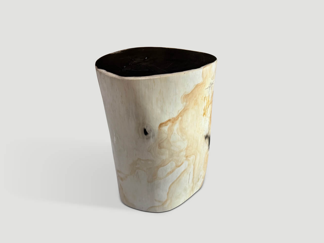High Quality Petrified Wood Side Table