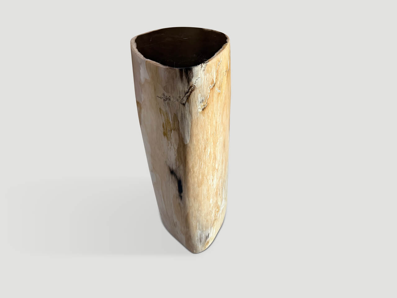 HIGH QUALITY PETRIFIED WOOD SIDE TABLE