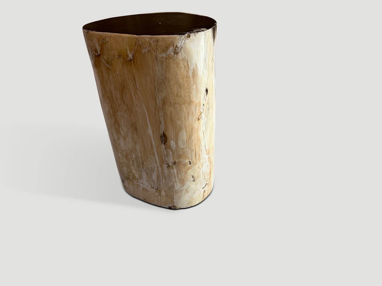 HIGH QUALITY PETRIFIED WOOD SIDE TABLE