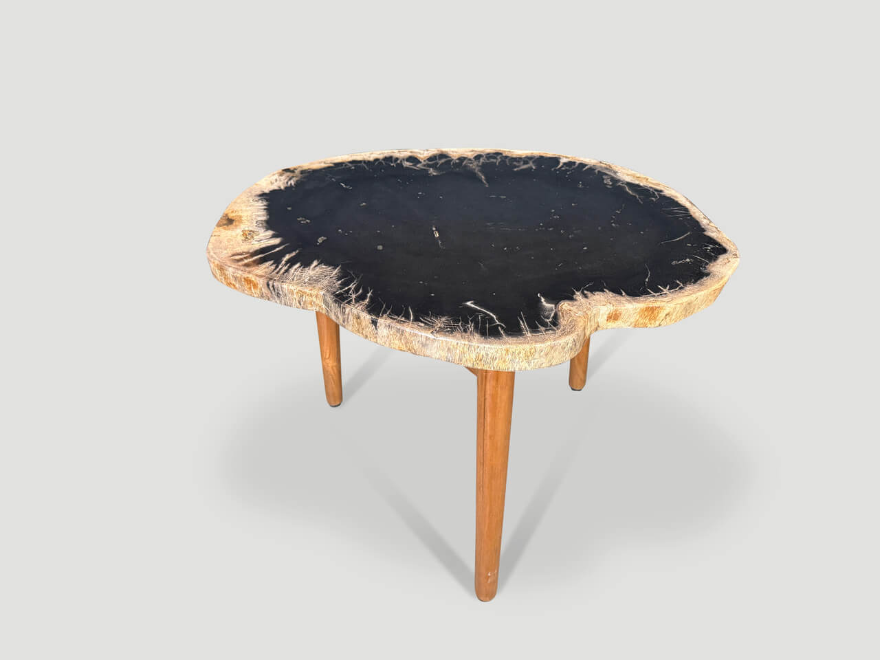 ANCIENT PALM PETRIFIED WOOD SIDE TABLE