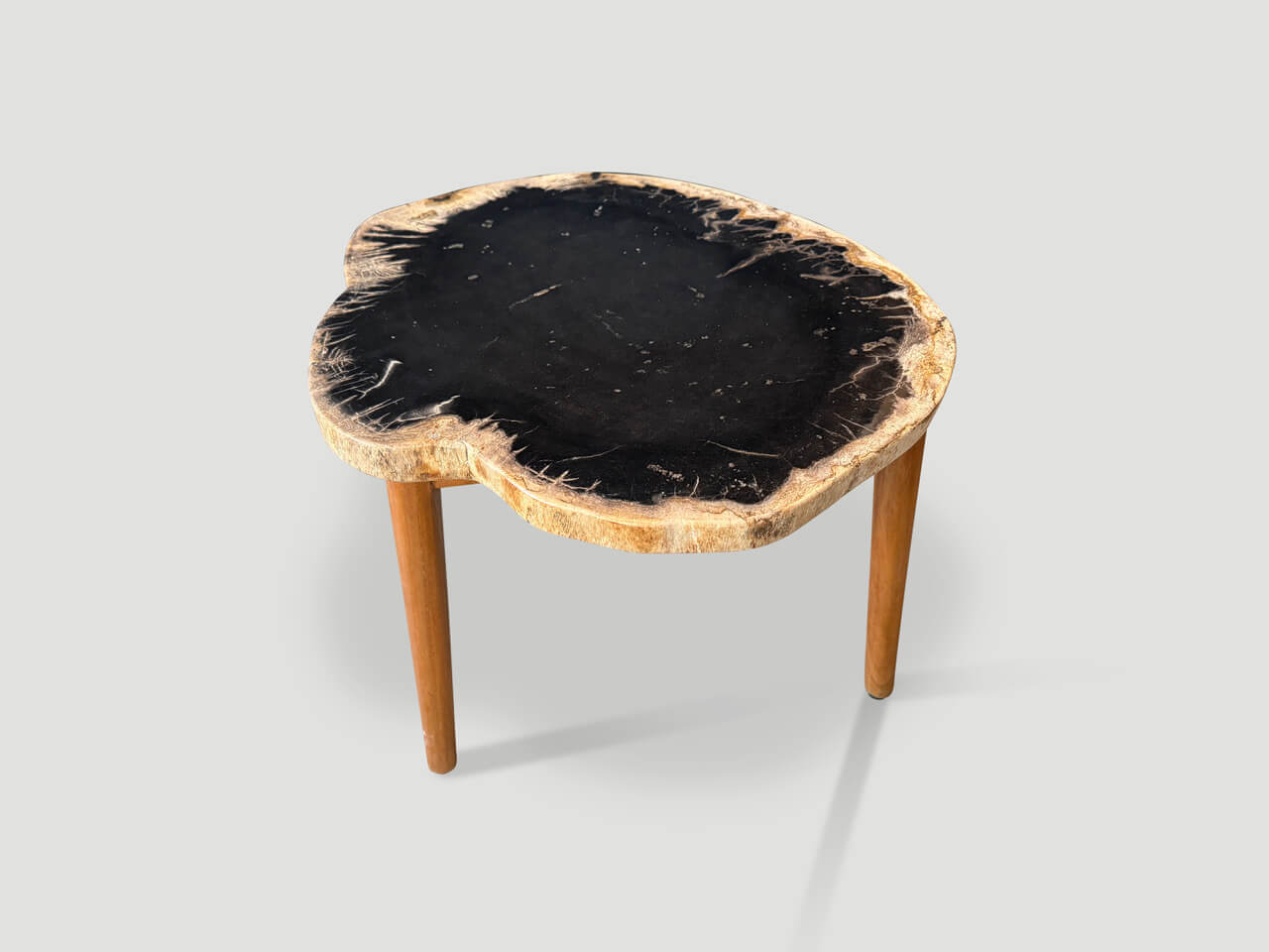 ANCIENT PALM PETRIFIED WOOD SIDE TABLE