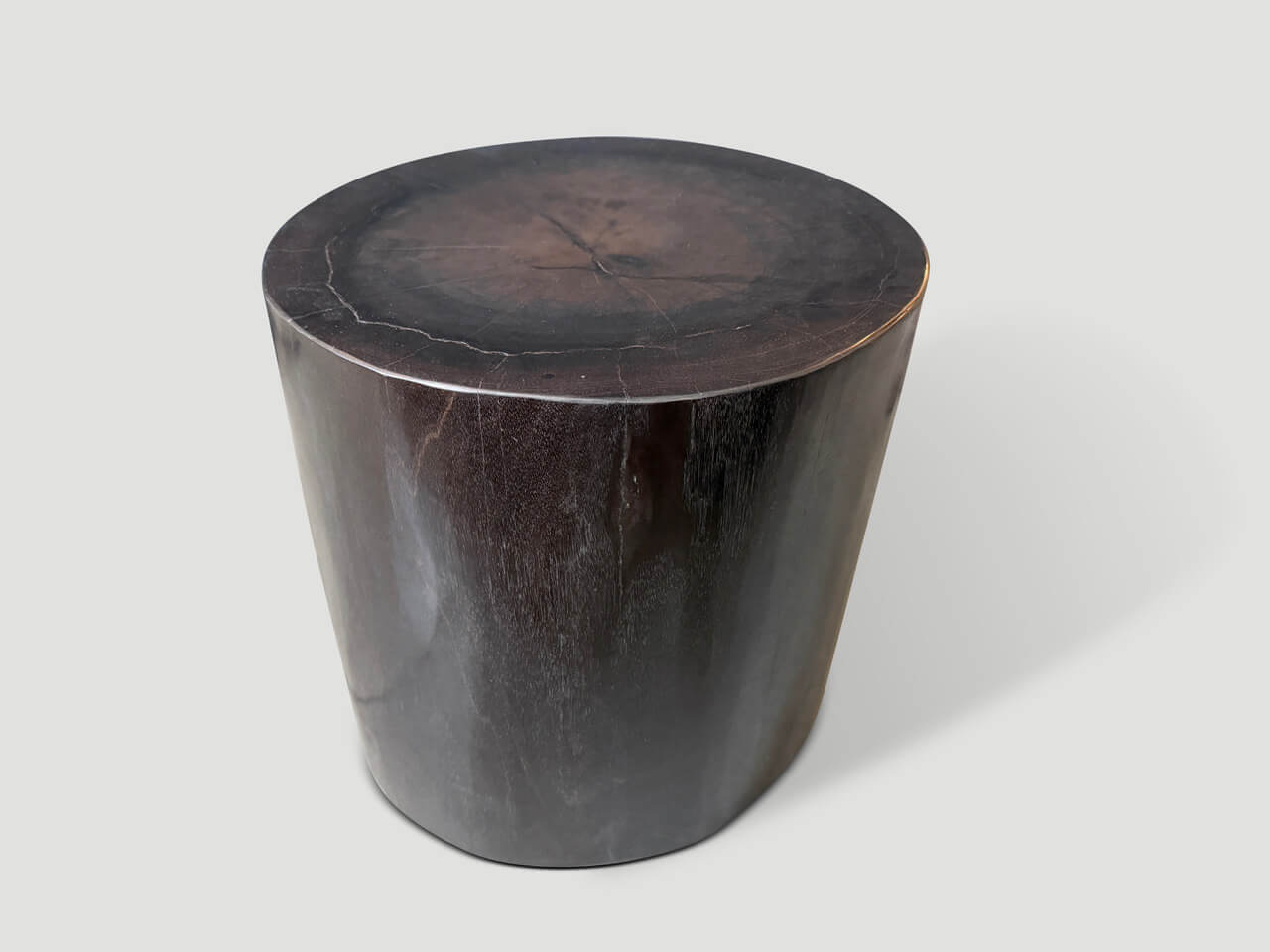 MINIMALIST SUPER SMOOTH PETRIFIED WOOD SIDE TABLE