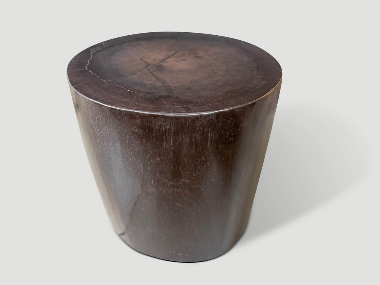 MINIMALIST SUPER SMOOTH PETRIFIED WOOD SIDE TABLE
