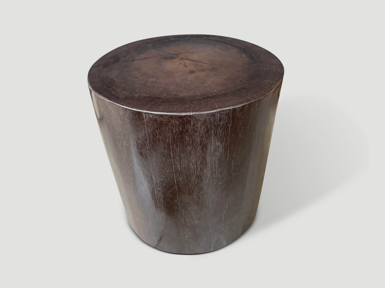 MINIMALIST SUPER SMOOTH PETRIFIED WOOD SIDE TABLE