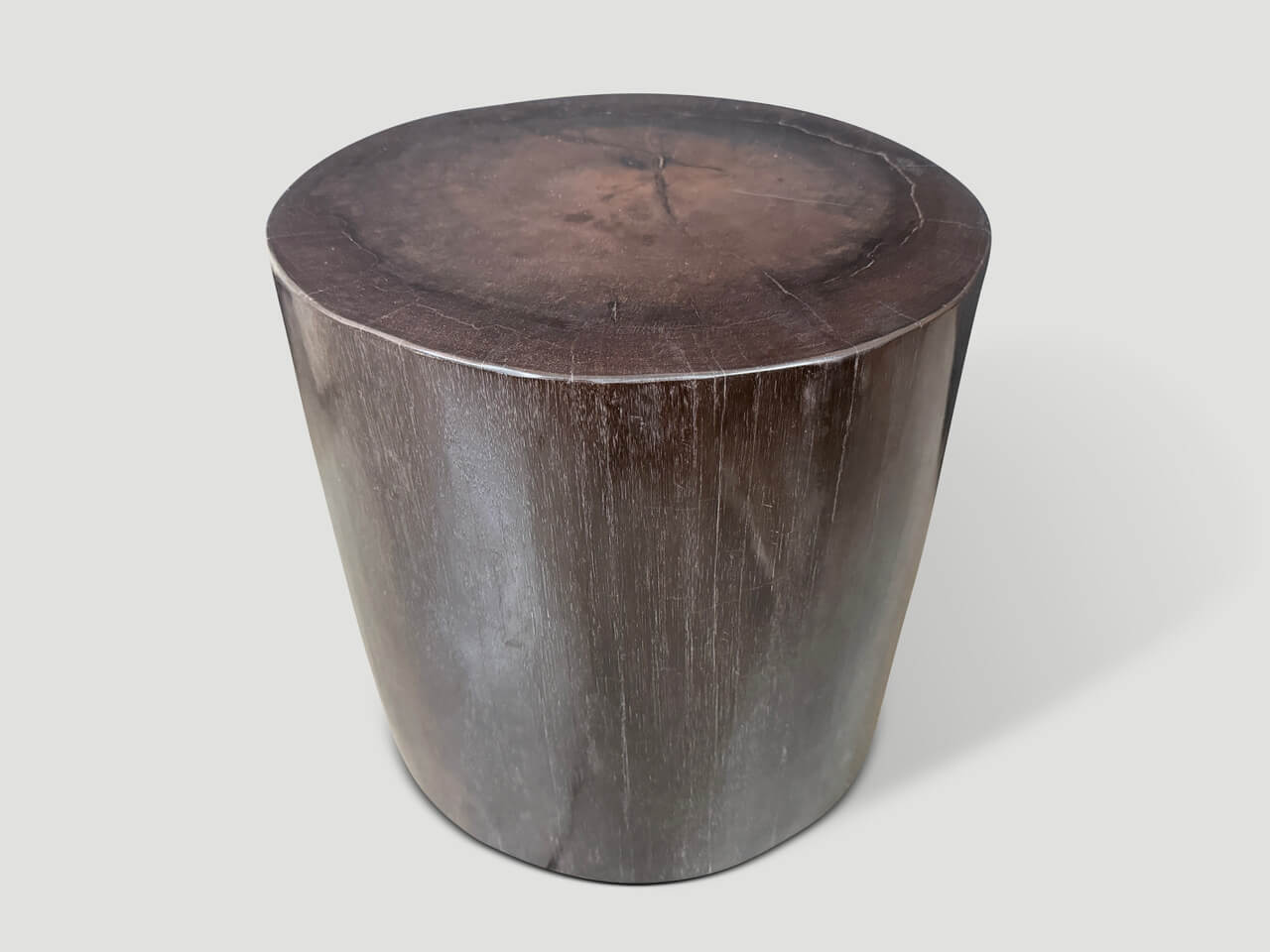 MINIMALIST SUPER SMOOTH PETRIFIED WOOD SIDE TABLE