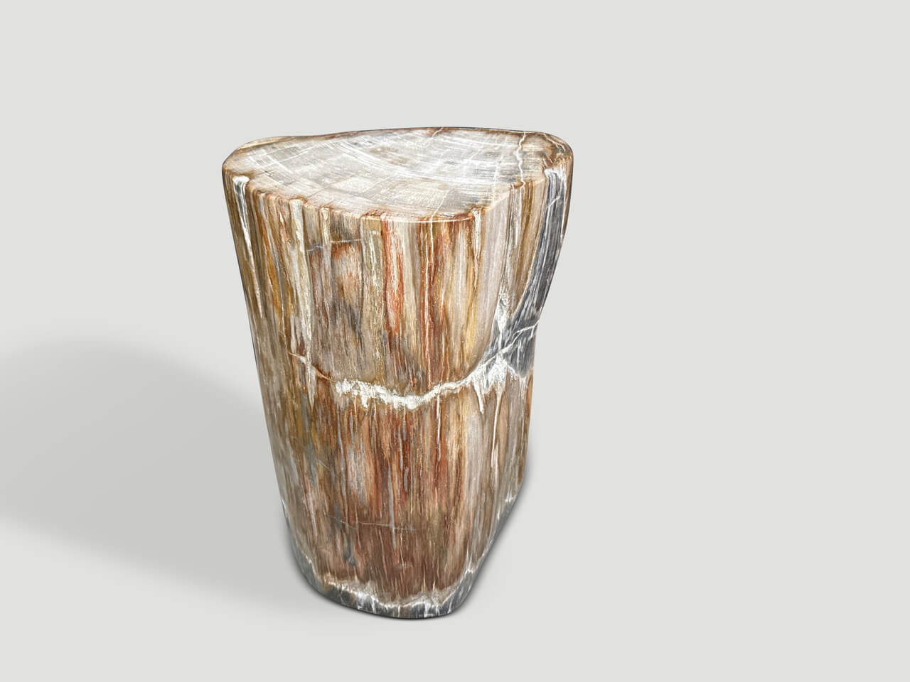MODERN ORGANIC PETRIFIED WOOD SIDE TABLE