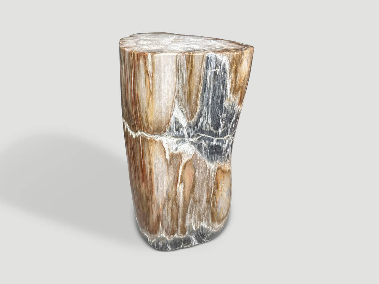 MODERN ORGANIC PETRIFIED WOOD SIDE TABLE