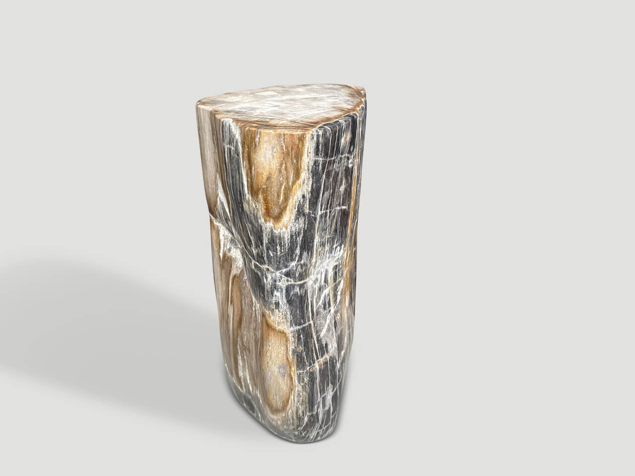MODERN ORGANIC PETRIFIED WOOD SIDE TABLE