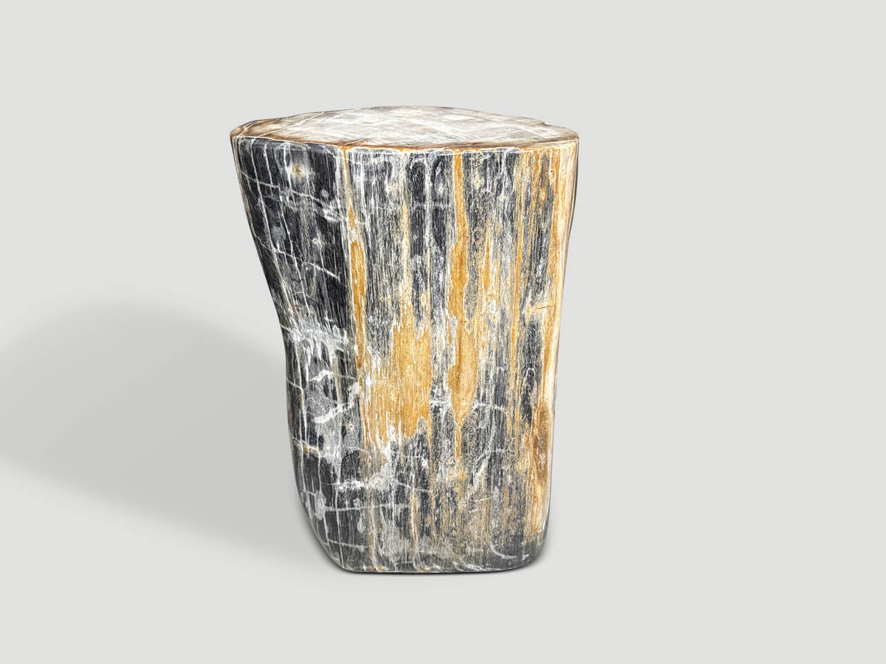 MODERN ORGANIC PETRIFIED WOOD SIDE TABLE