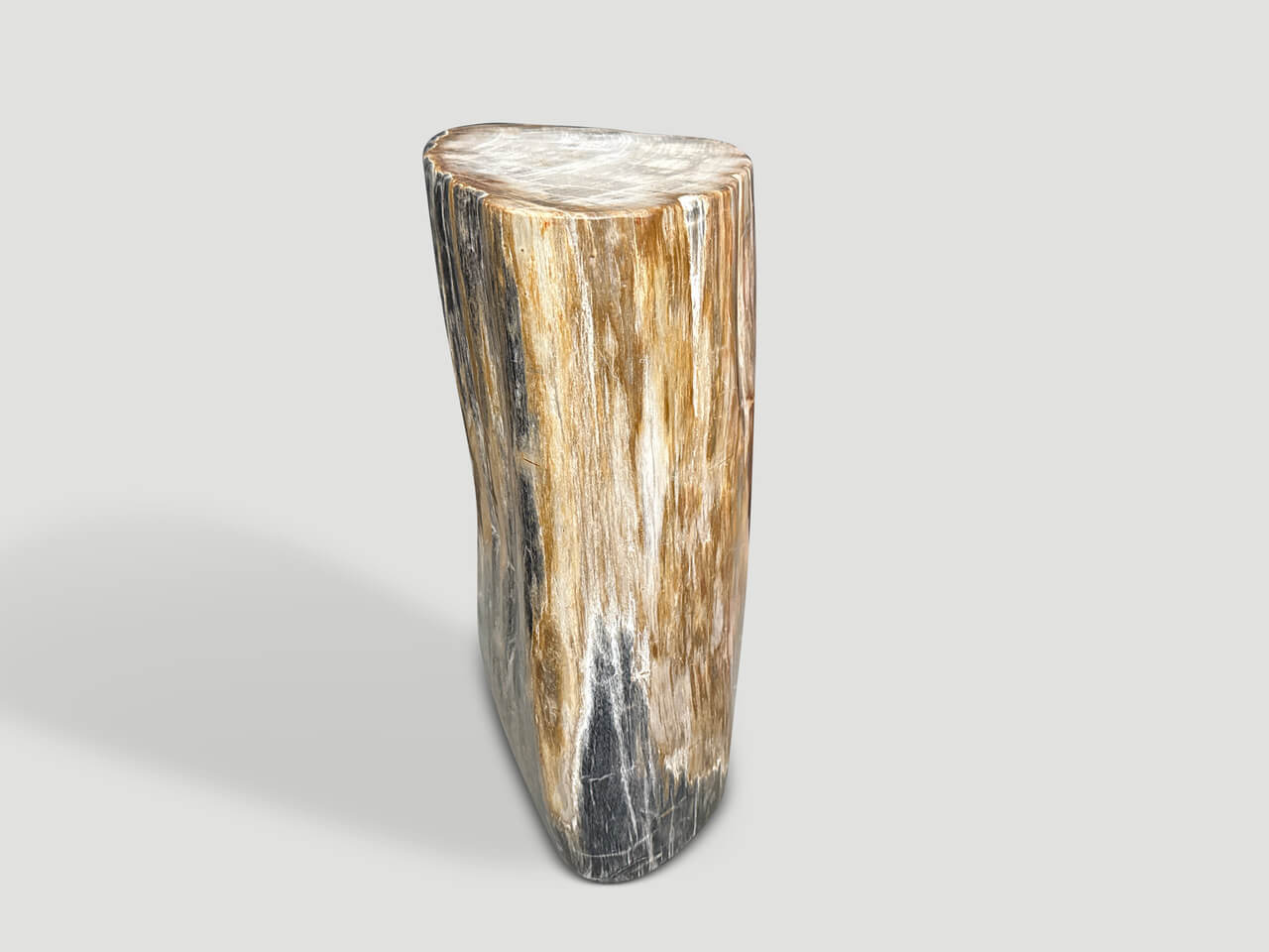 MODERN ORGANIC PETRIFIED WOOD SIDE TABLE