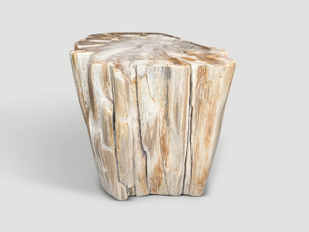 IMPRESSIVE HIGH QUALITY ANCIENT PETRIFIED WOOD SIDE TABLE