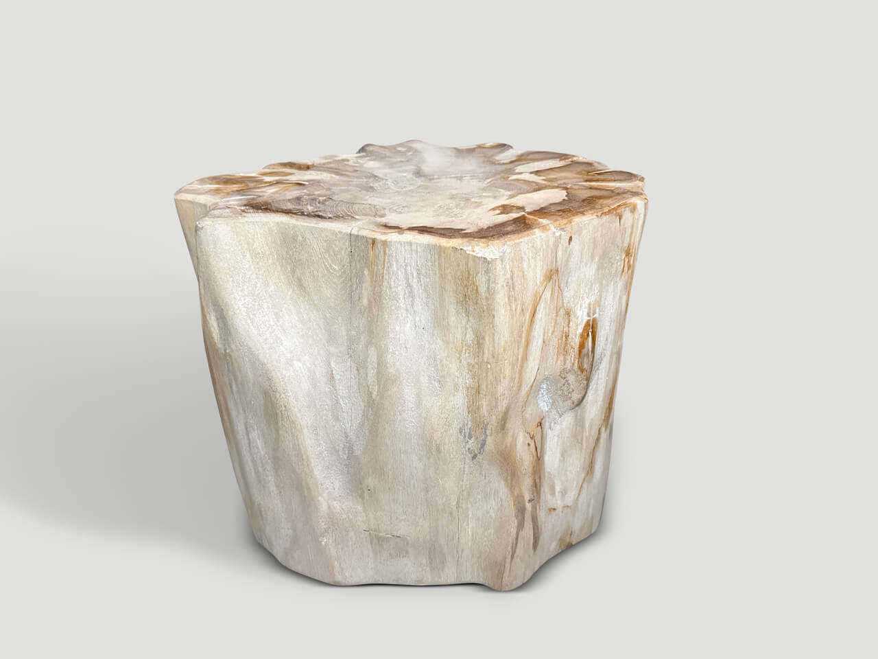 IMPRESSIVE HIGH QUALITY ANCIENT PETRIFIED WOOD SIDE TABLE