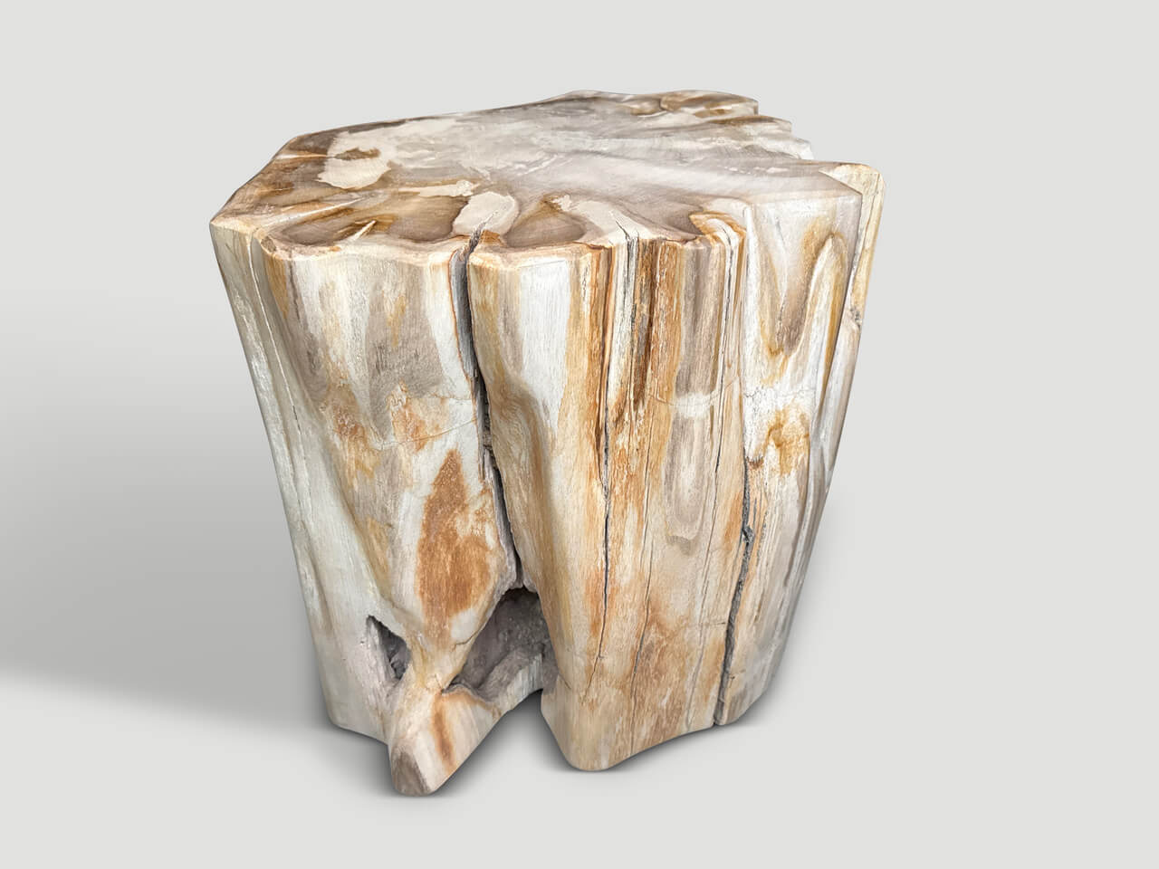 IMPRESSIVE HIGH QUALITY ANCIENT PETRIFIED WOOD SIDE TABLE