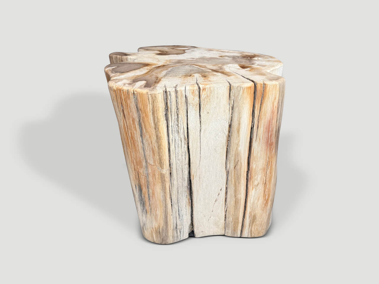 IMPRESSIVE HIGH QUALITY ANCIENT PETRIFIED WOOD SIDE TABLE