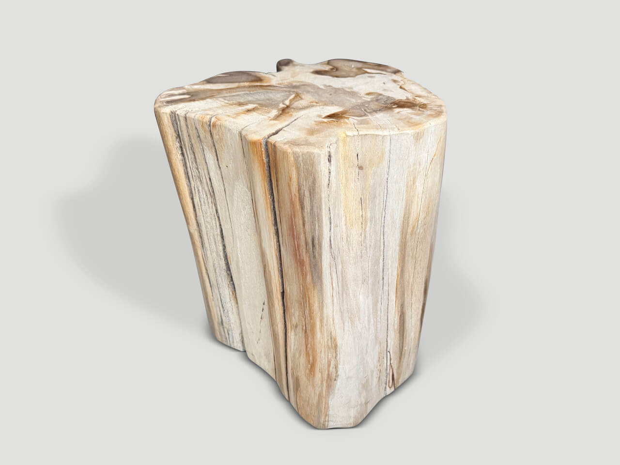 IMPRESSIVE HIGH QUALITY ANCIENT PETRIFIED WOOD SIDE TABLE