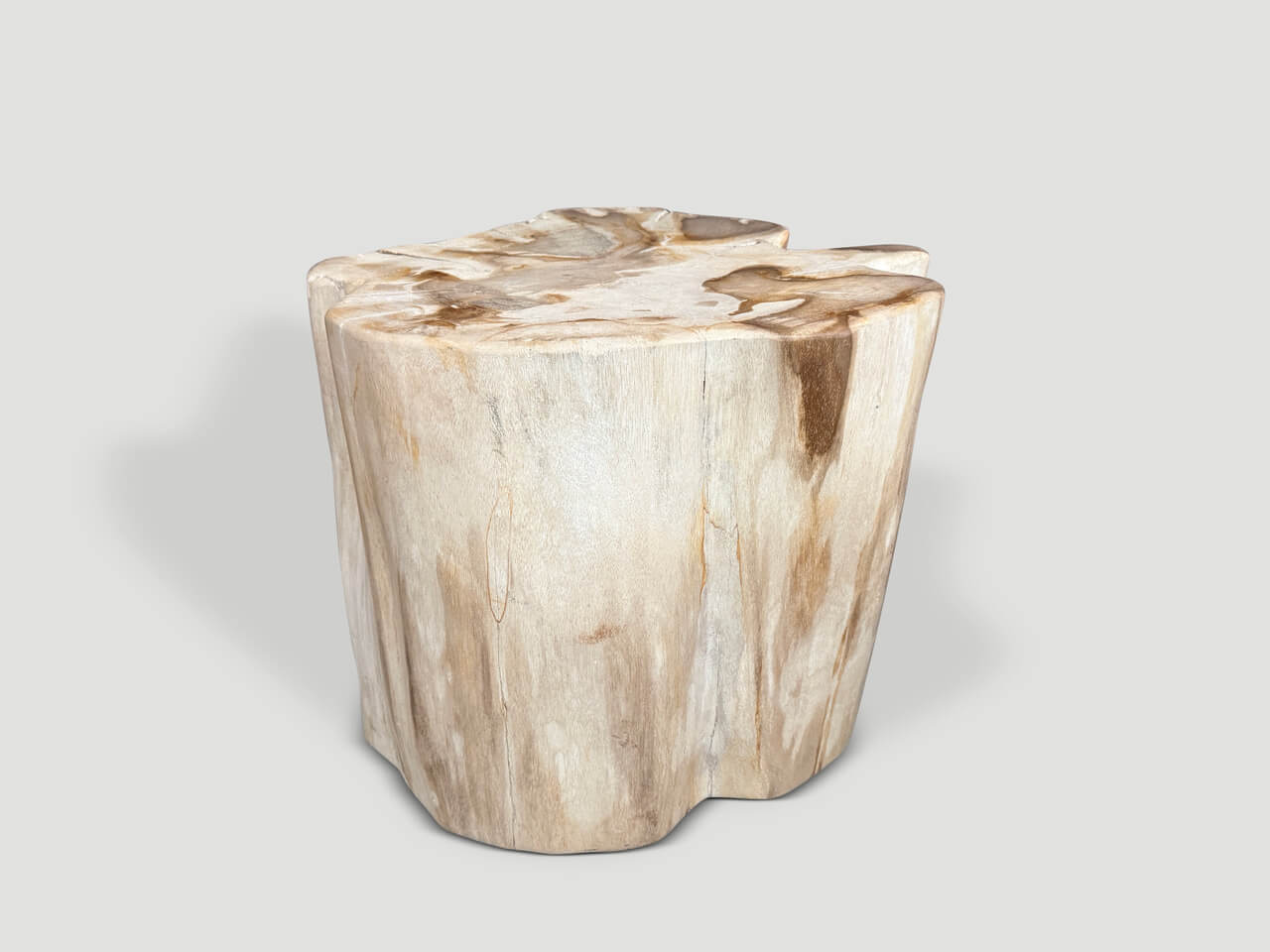 IMPRESSIVE HIGH QUALITY ANCIENT PETRIFIED WOOD SIDE TABLE