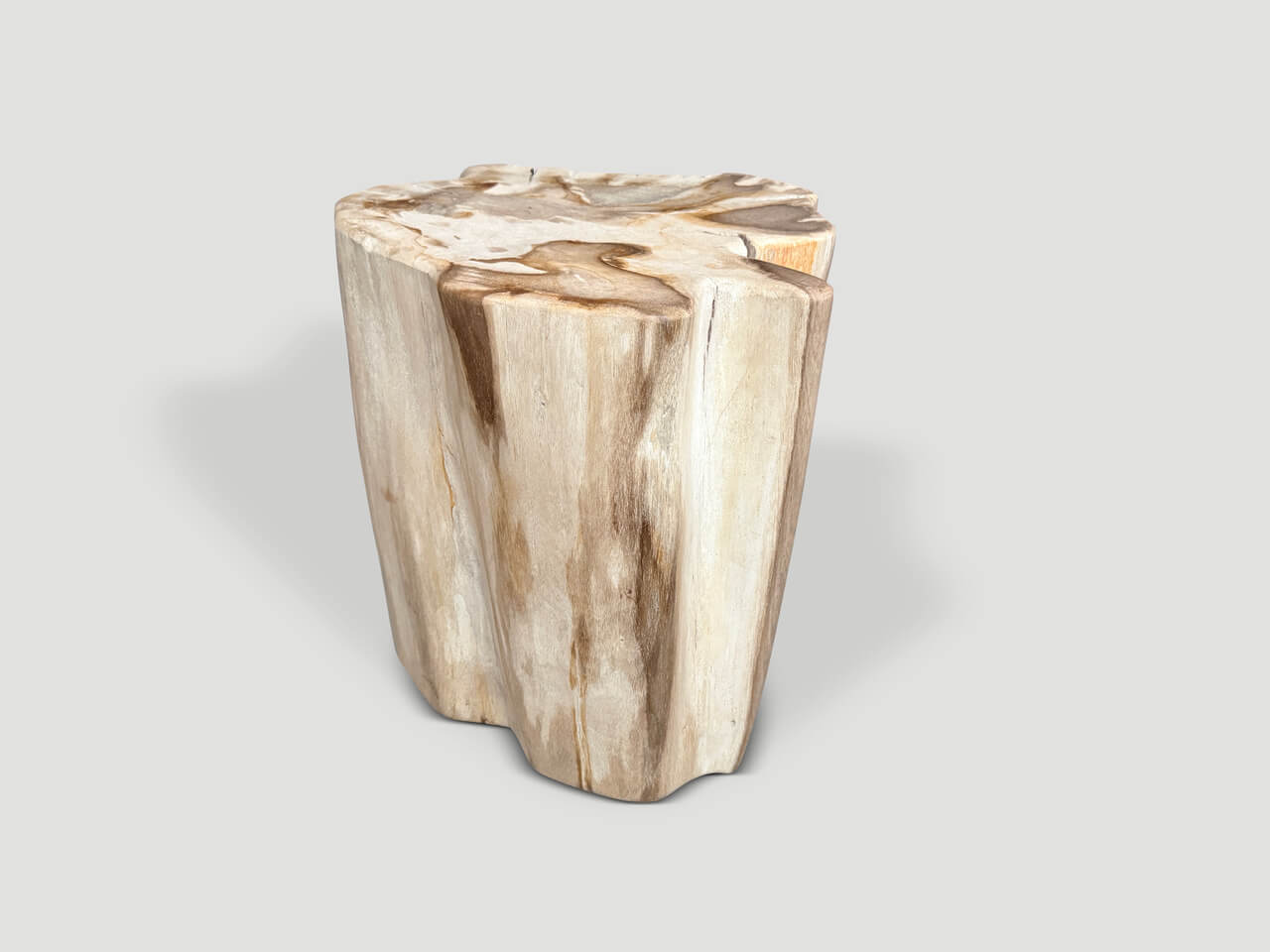 IMPRESSIVE HIGH QUALITY ANCIENT PETRIFIED WOOD SIDE TABLE