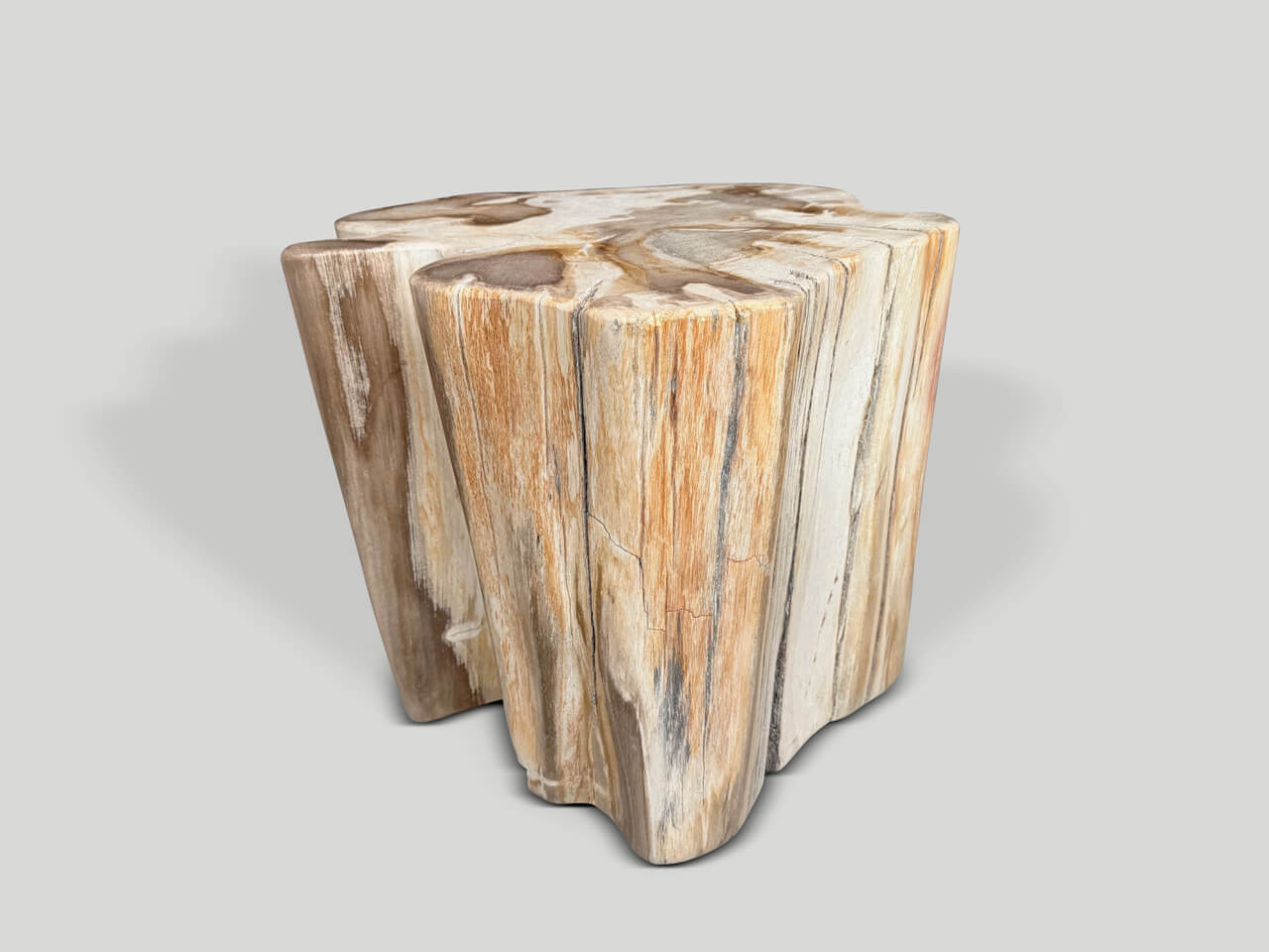 IMPRESSIVE HIGH QUALITY ANCIENT PETRIFIED WOOD SIDE TABLE