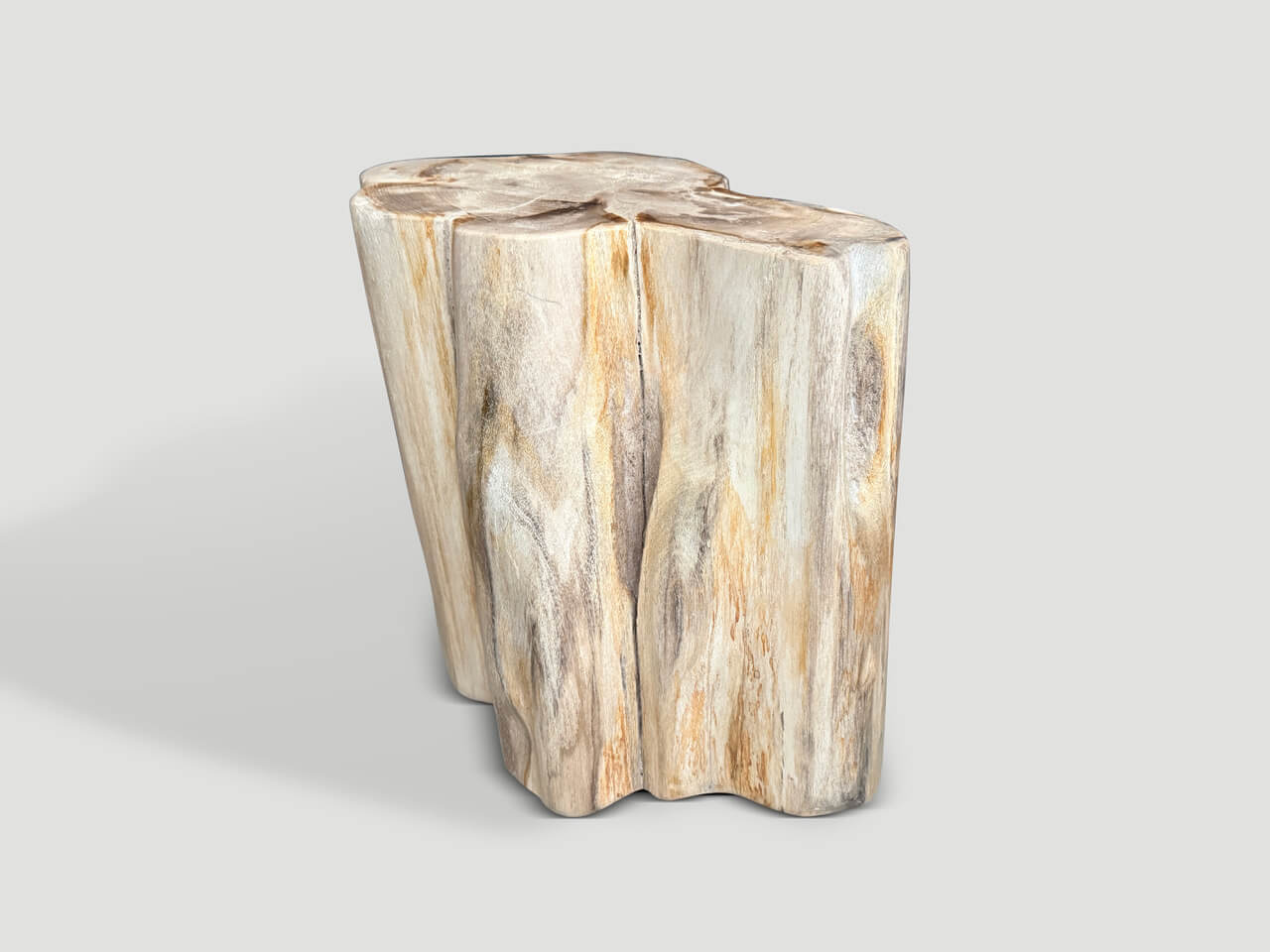 IMPRESSIVE HIGH QUALITY ANCIENT PETRIFIED WOOD SIDE TABLE