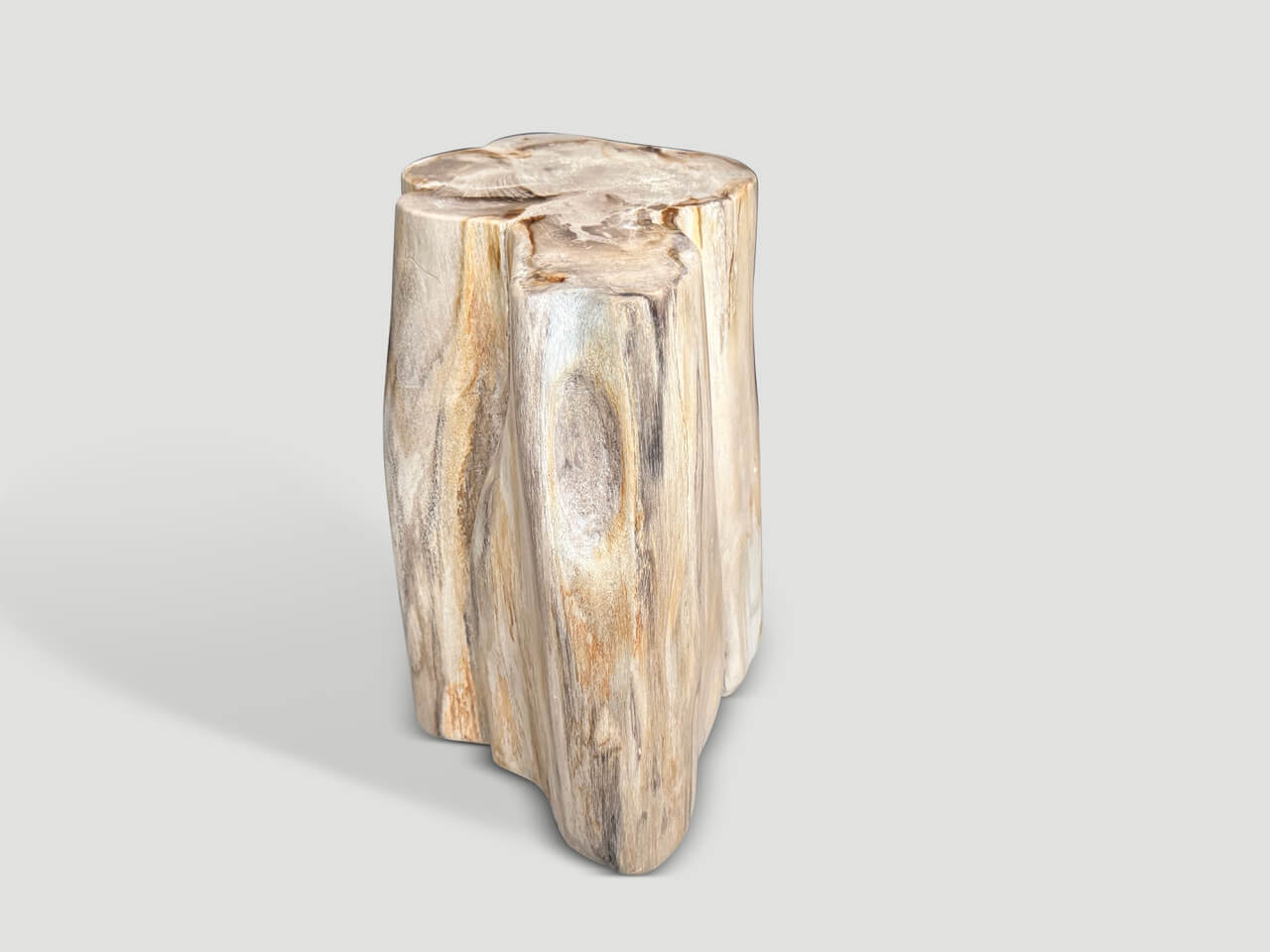IMPRESSIVE HIGH QUALITY ANCIENT PETRIFIED WOOD SIDE TABLE