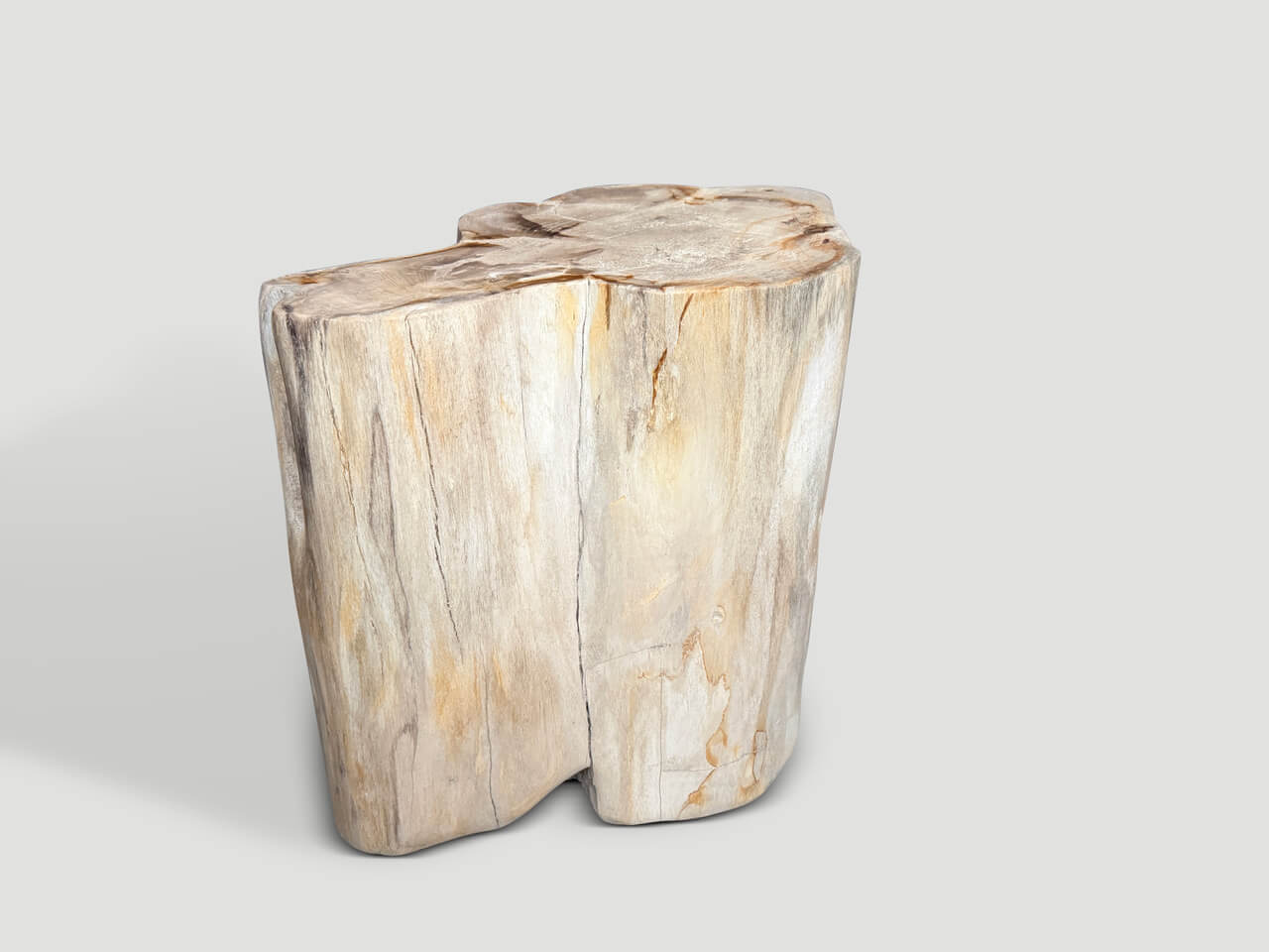 IMPRESSIVE HIGH QUALITY ANCIENT PETRIFIED WOOD SIDE TABLE