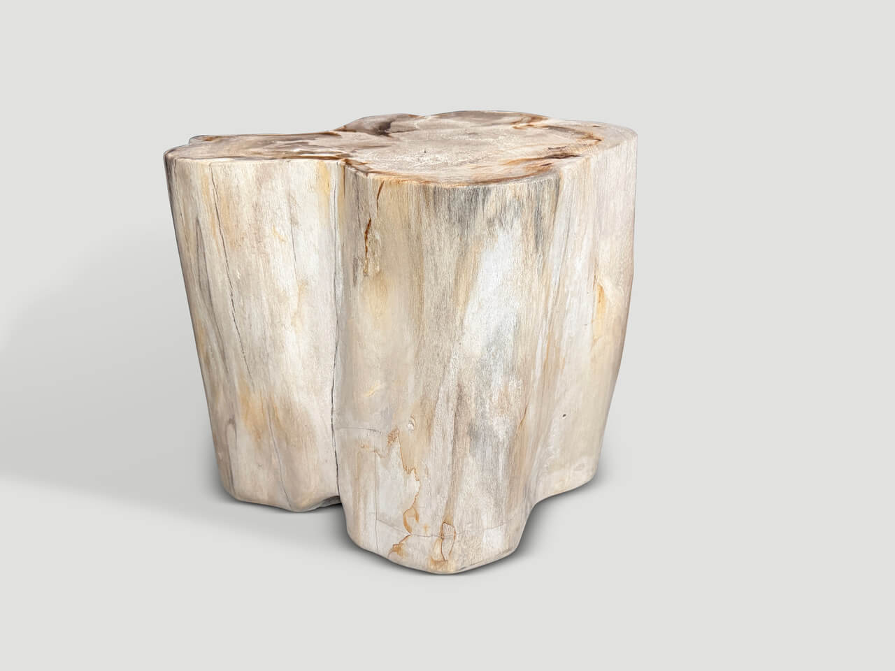 IMPRESSIVE HIGH QUALITY ANCIENT PETRIFIED WOOD SIDE TABLE