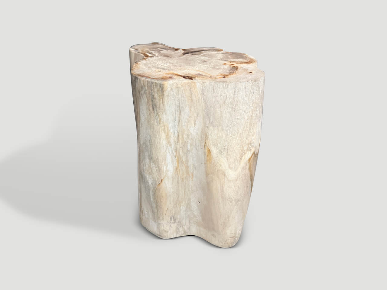 IMPRESSIVE HIGH QUALITY ANCIENT PETRIFIED WOOD SIDE TABLE